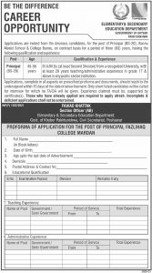Elementary and Secondary Education Department Jobs 2021